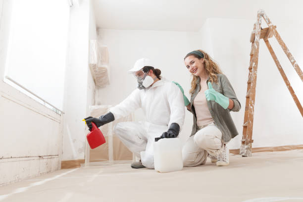 Best Mold Damage Restoration  in Maryland Heights, MO